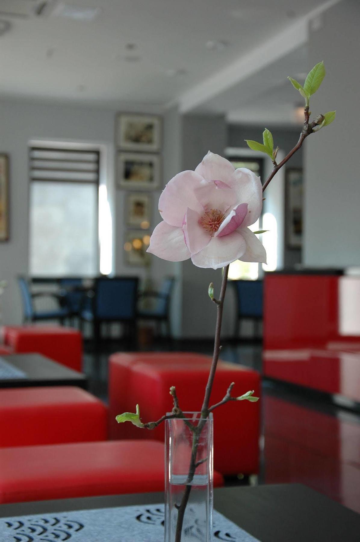 Hotel Opera Tarnowskie Góry Esterno foto